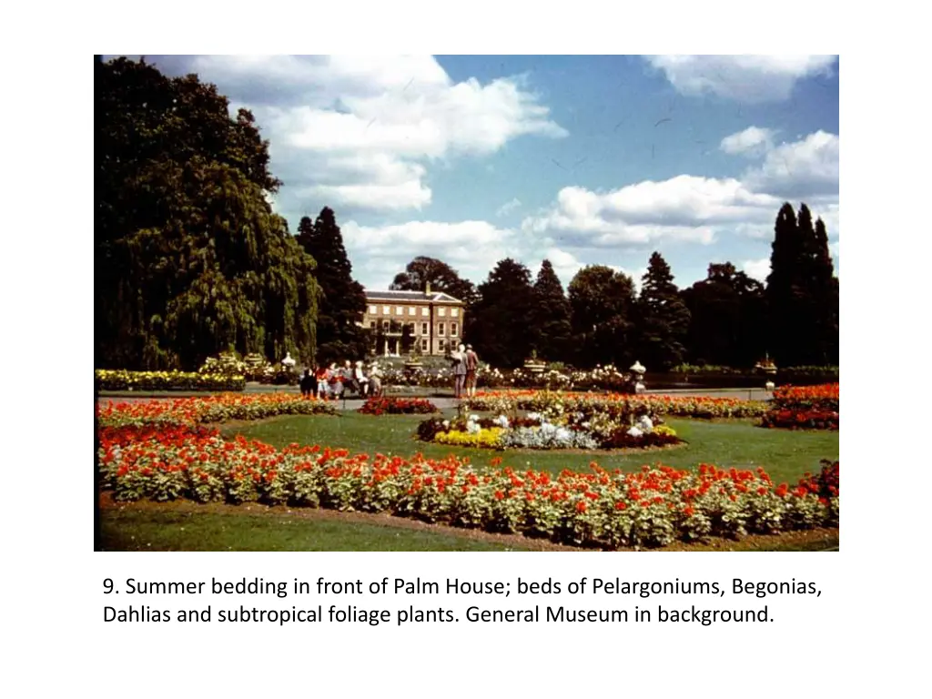 9 summer bedding in front of palm house beds