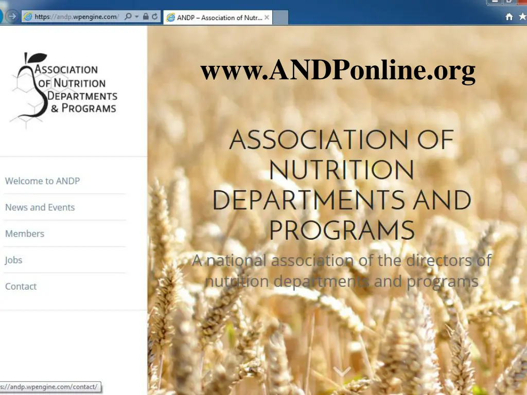 www andponline org