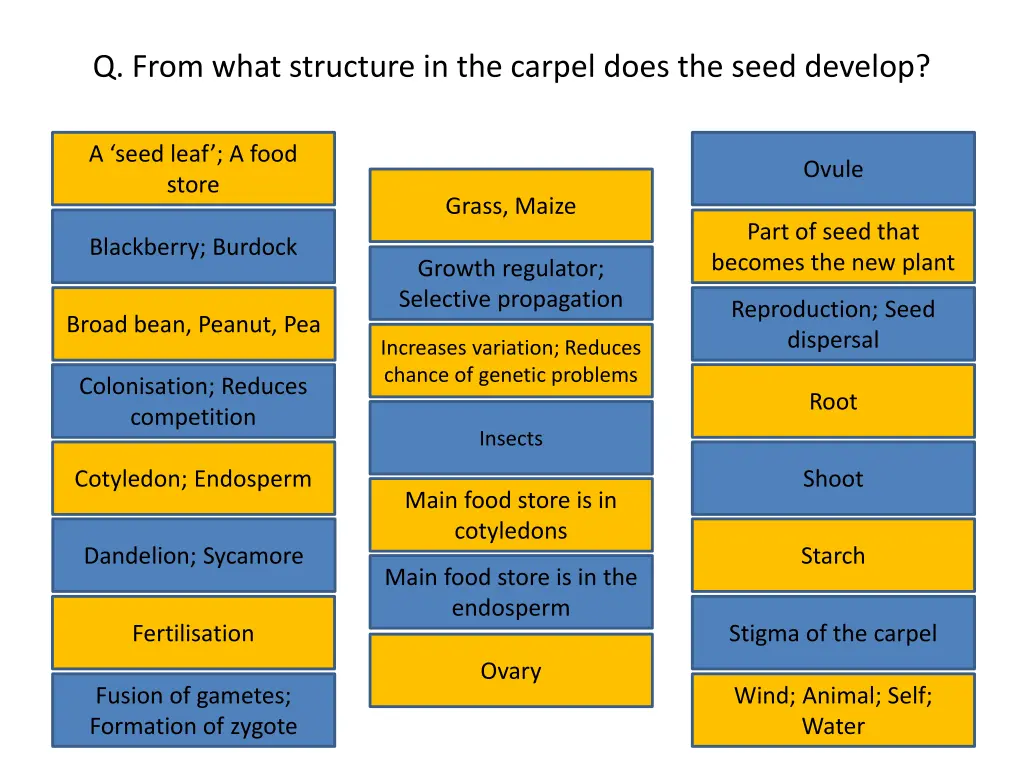 q from what structure in the carpel does the seed