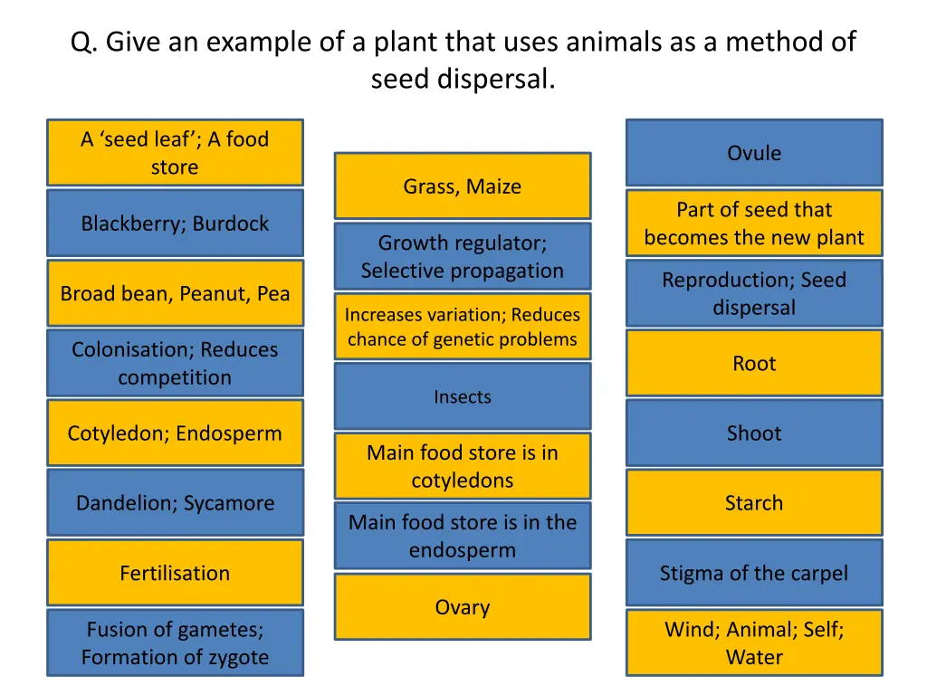 q give an example of a plant that uses animals