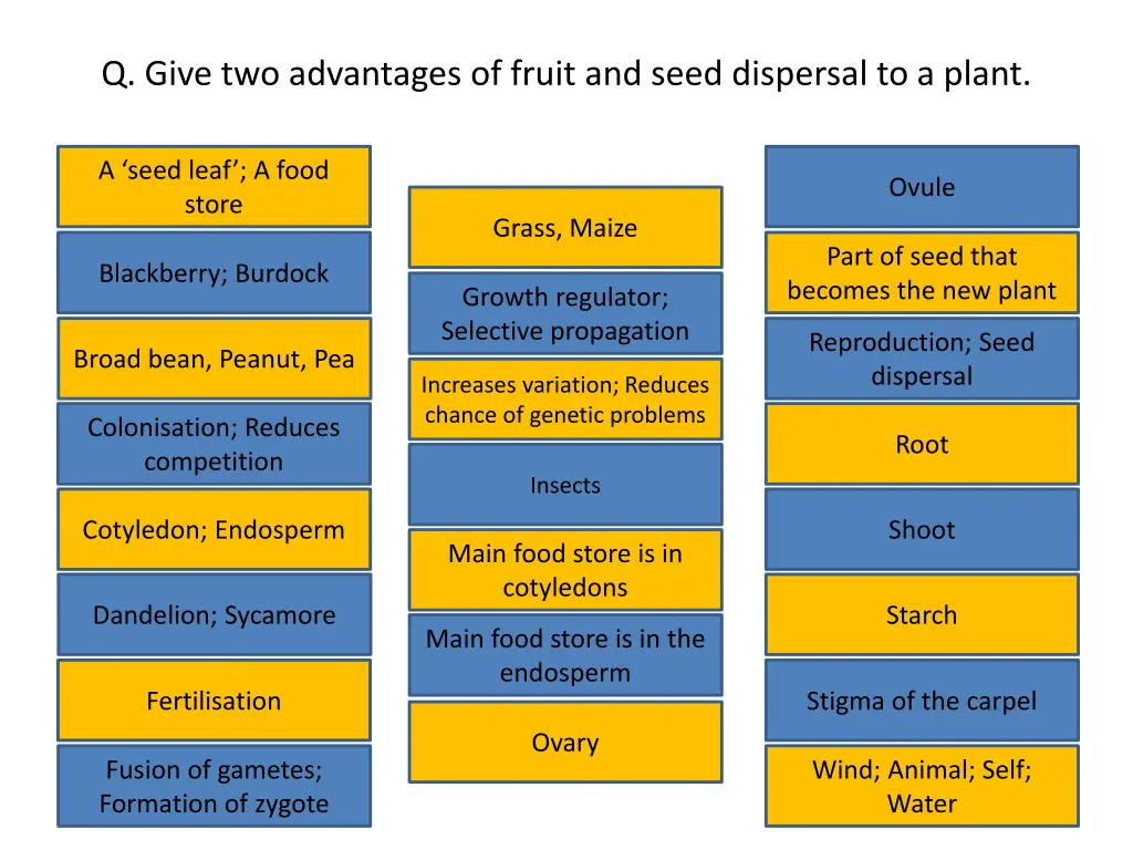 q give two advantages of fruit and seed dispersal