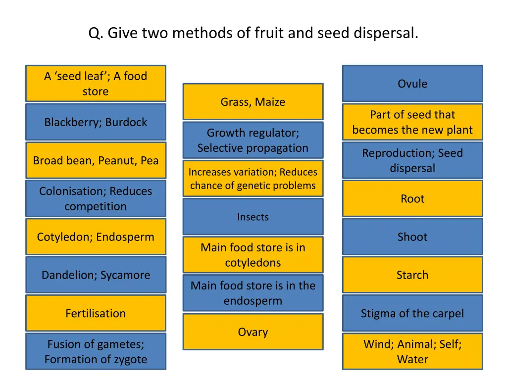 q give two methods of fruit and seed dispersal