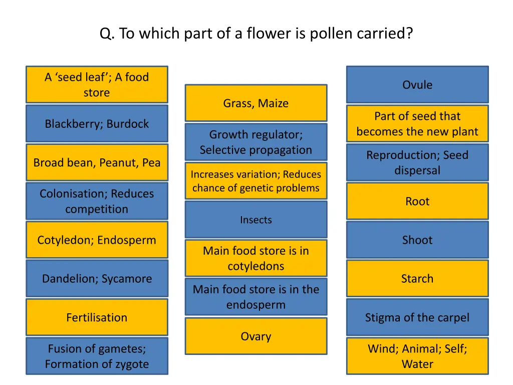 q to which part of a flower is pollen carried