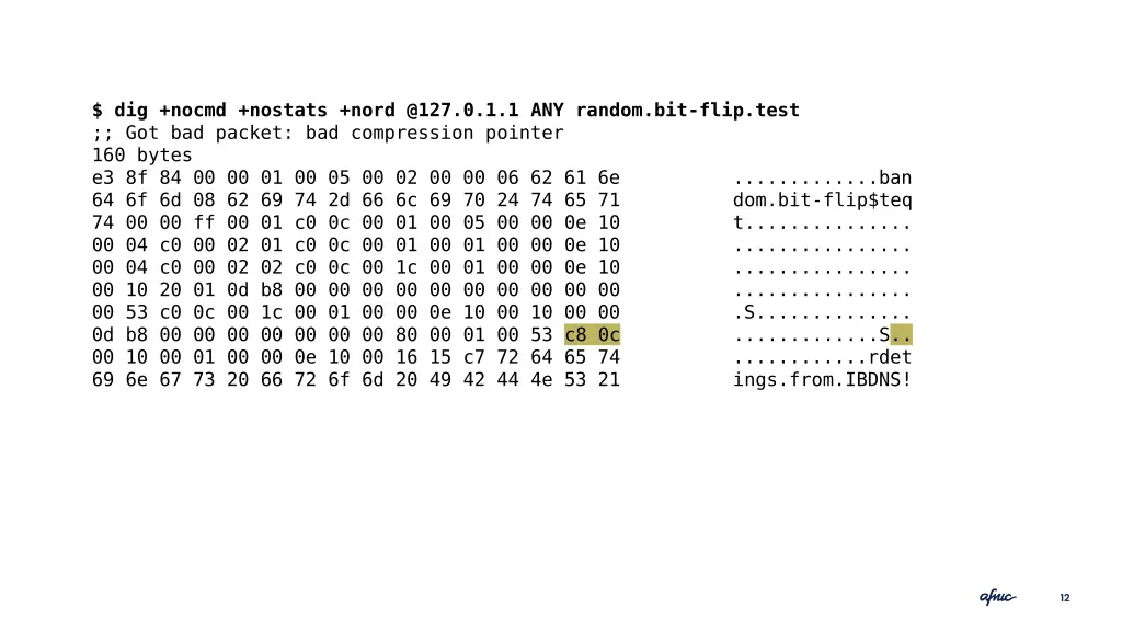 dig nocmd nostats nord @127 0 1 1 any random 1