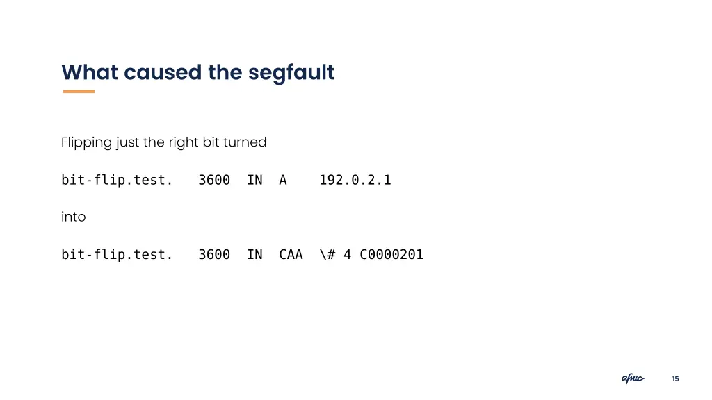 what caused the segfault