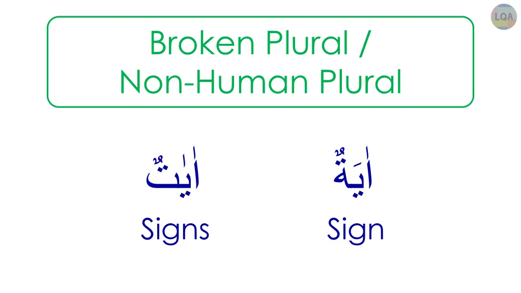 broken plural non human plural 1