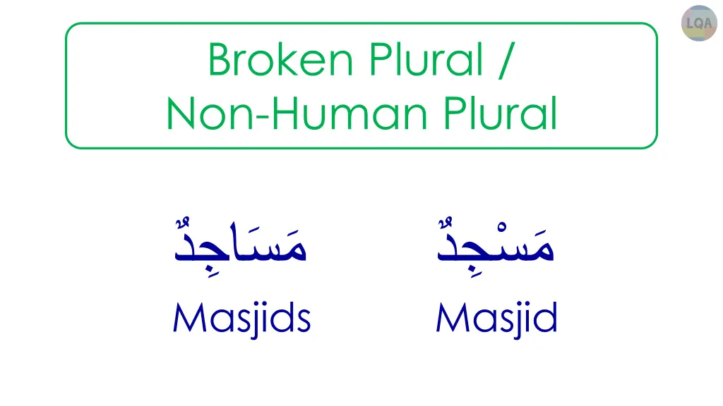 broken plural non human plural 2