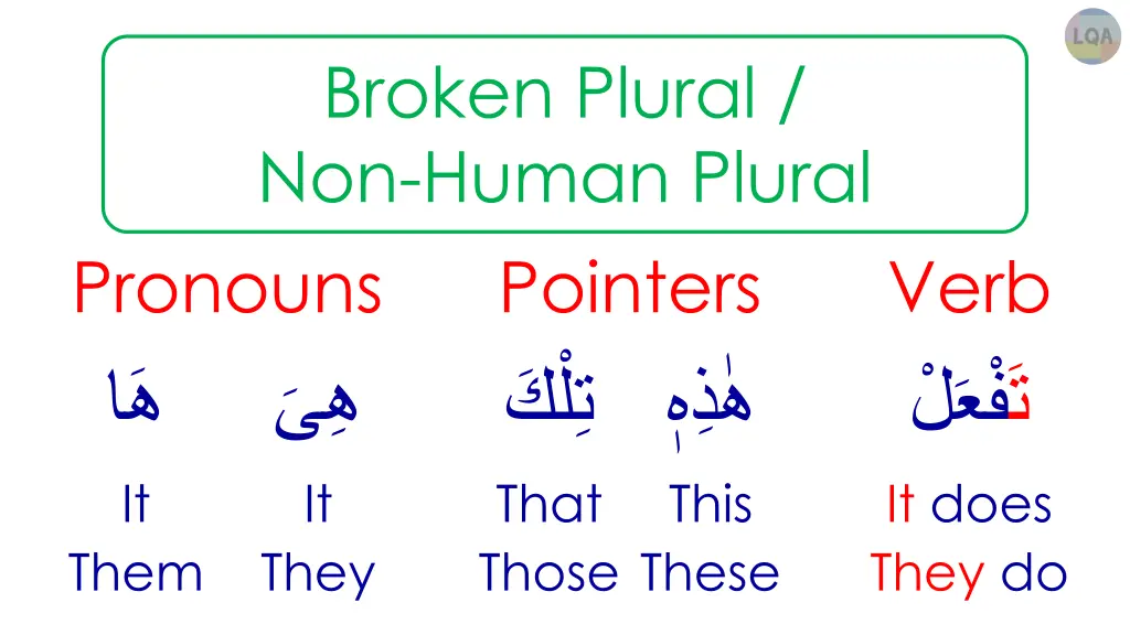 broken plural non human plural 3