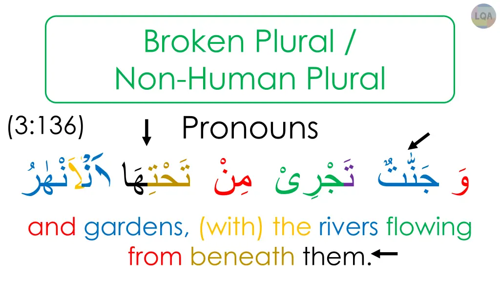 broken plural non human plural 4