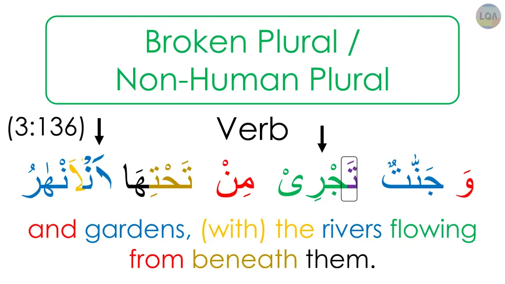 broken plural non human plural 5