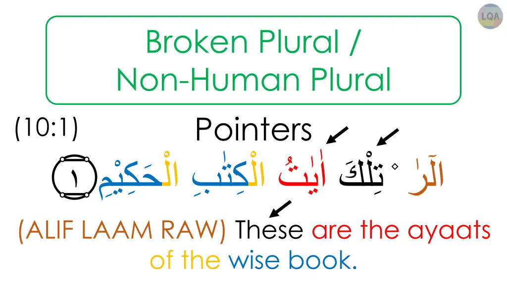 broken plural non human plural 6