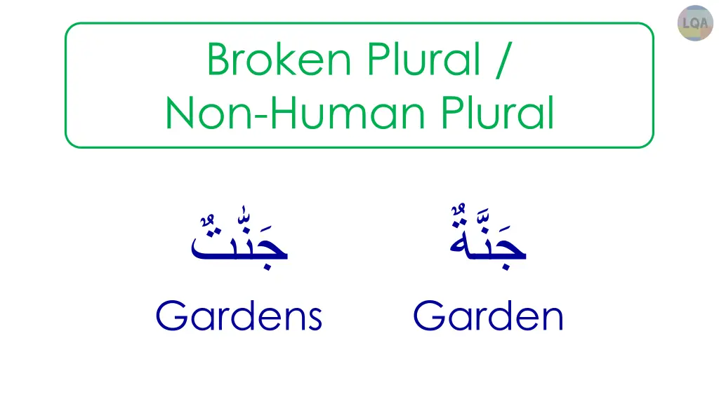 broken plural non human plural