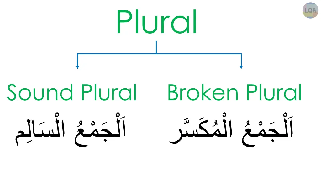 plural