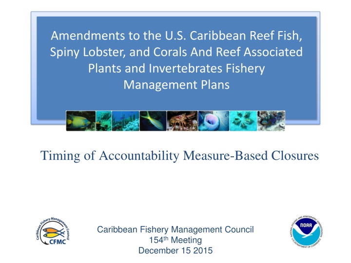 amendments to the u s caribbean reef fish spiny