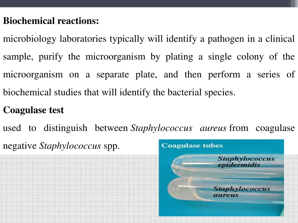 biochemical reactions