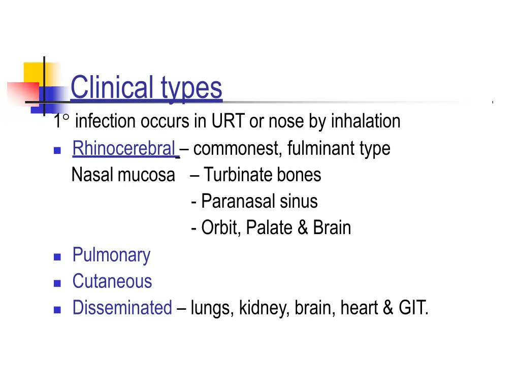 clinicaltypes 1 infection occurs in urt or nose