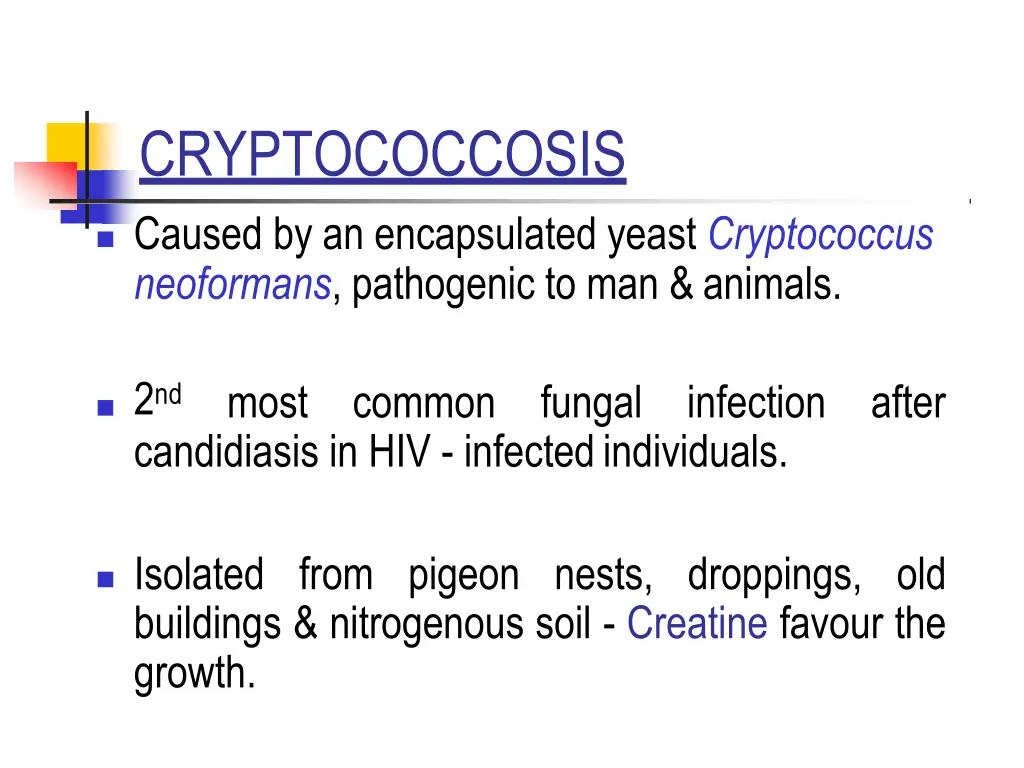 cryptococcosis