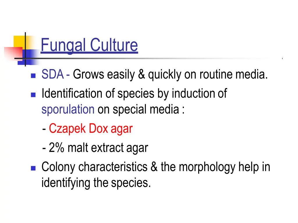 fungal culture