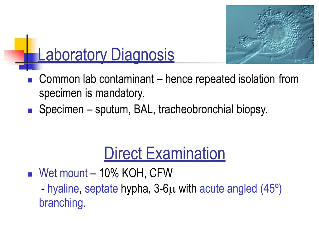 laboratory diagnosis