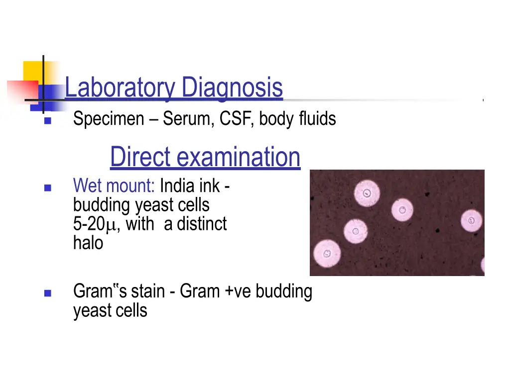 laboratory diagnosis specimen serum csf body