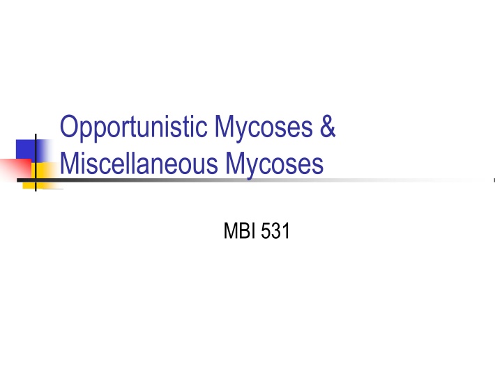 opportunistic mycoses miscellaneous mycoses