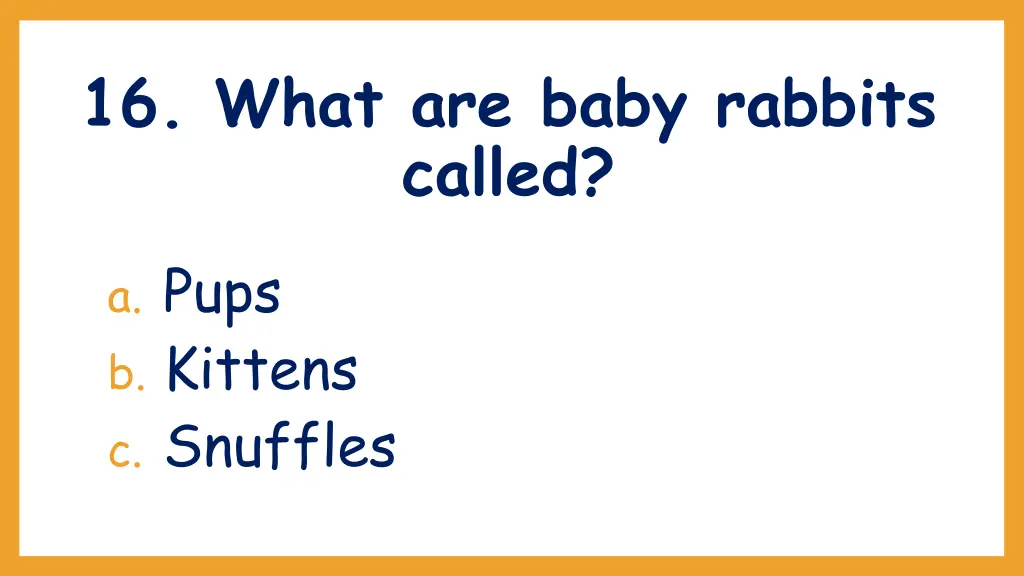 16 what are baby rabbits called