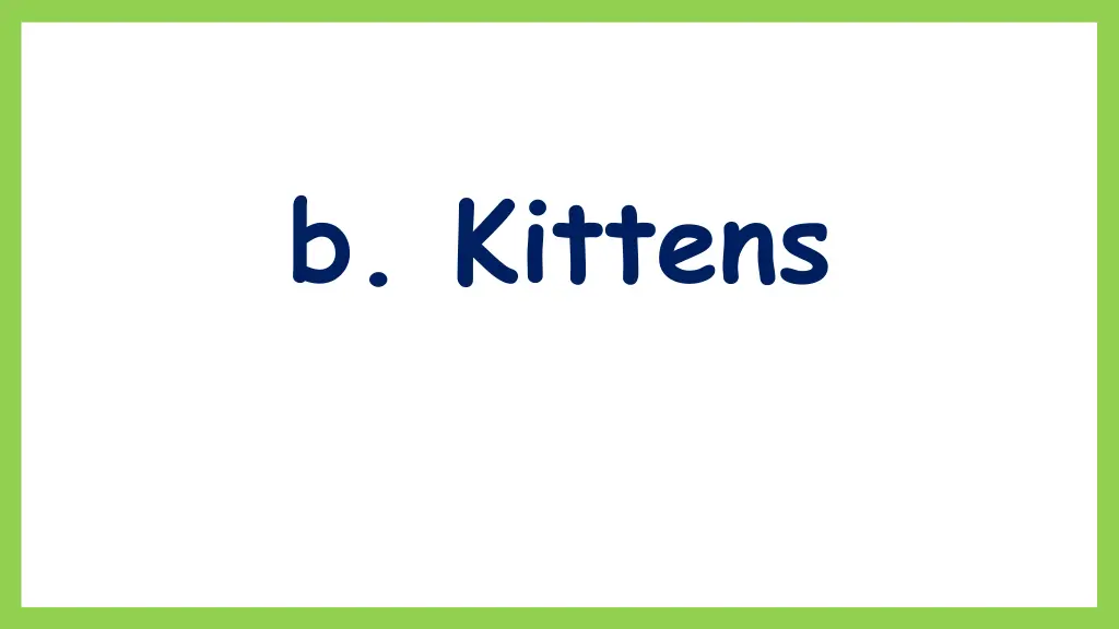 b kittens