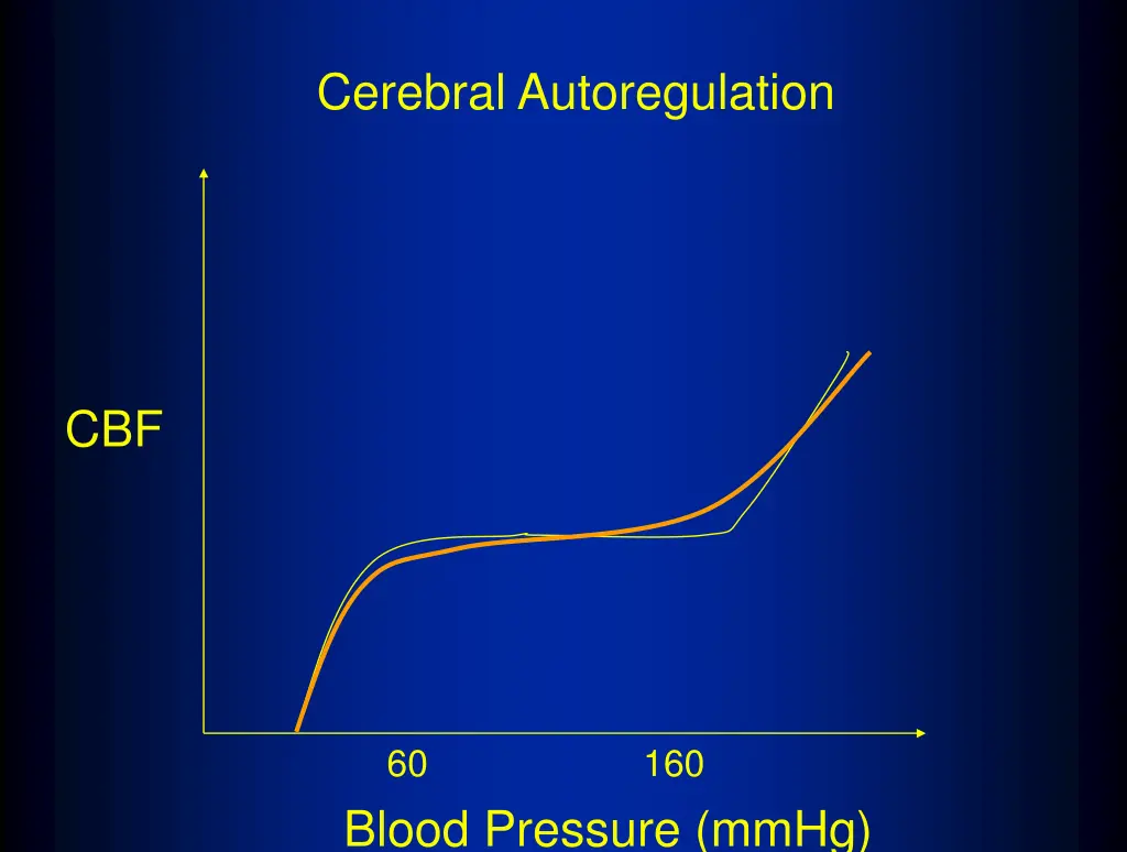 cerebral autoregulation 1