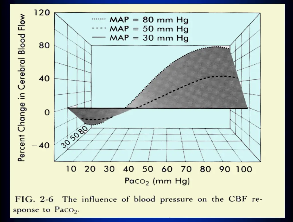 slide31