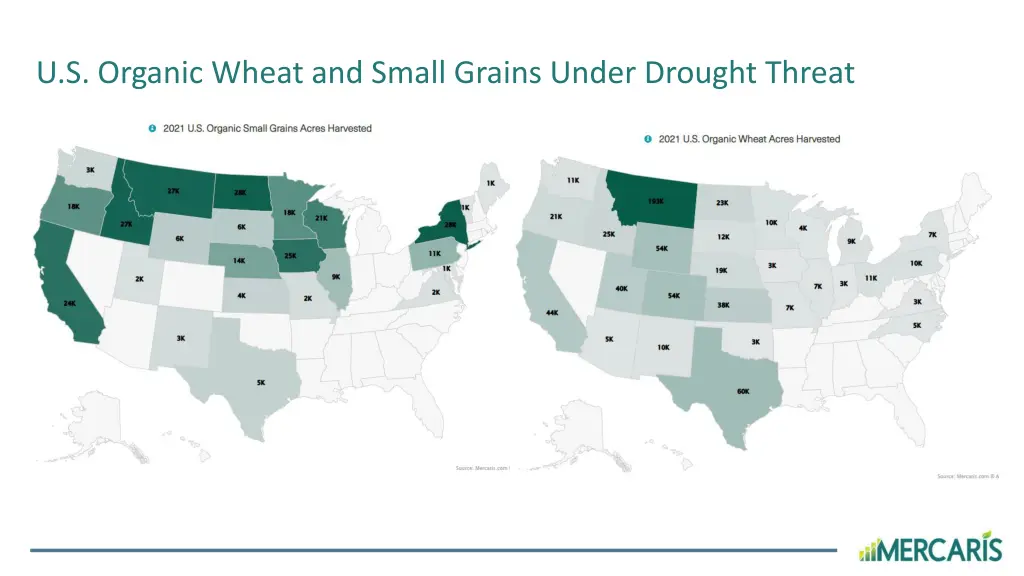 u s organic wheat and small grains under drought