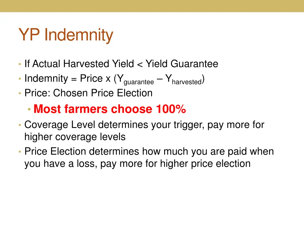 yp indemnity