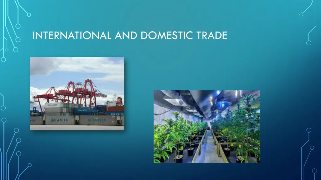 international and domestic trade