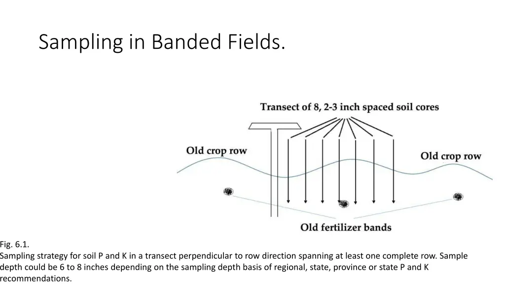 sampling in banded fields