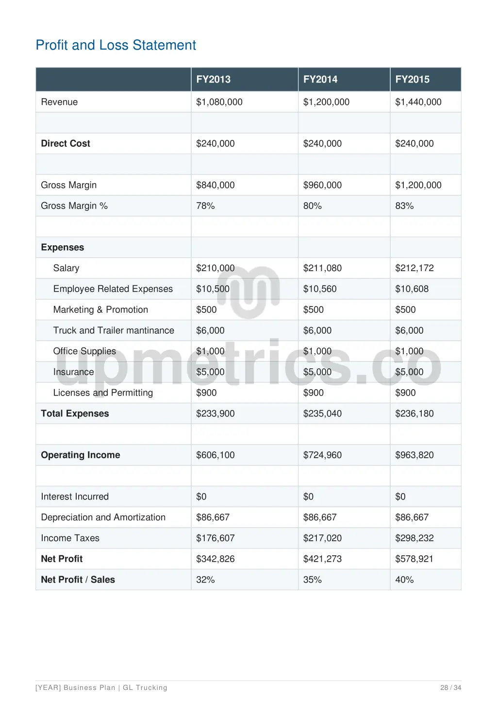 profit and loss statement