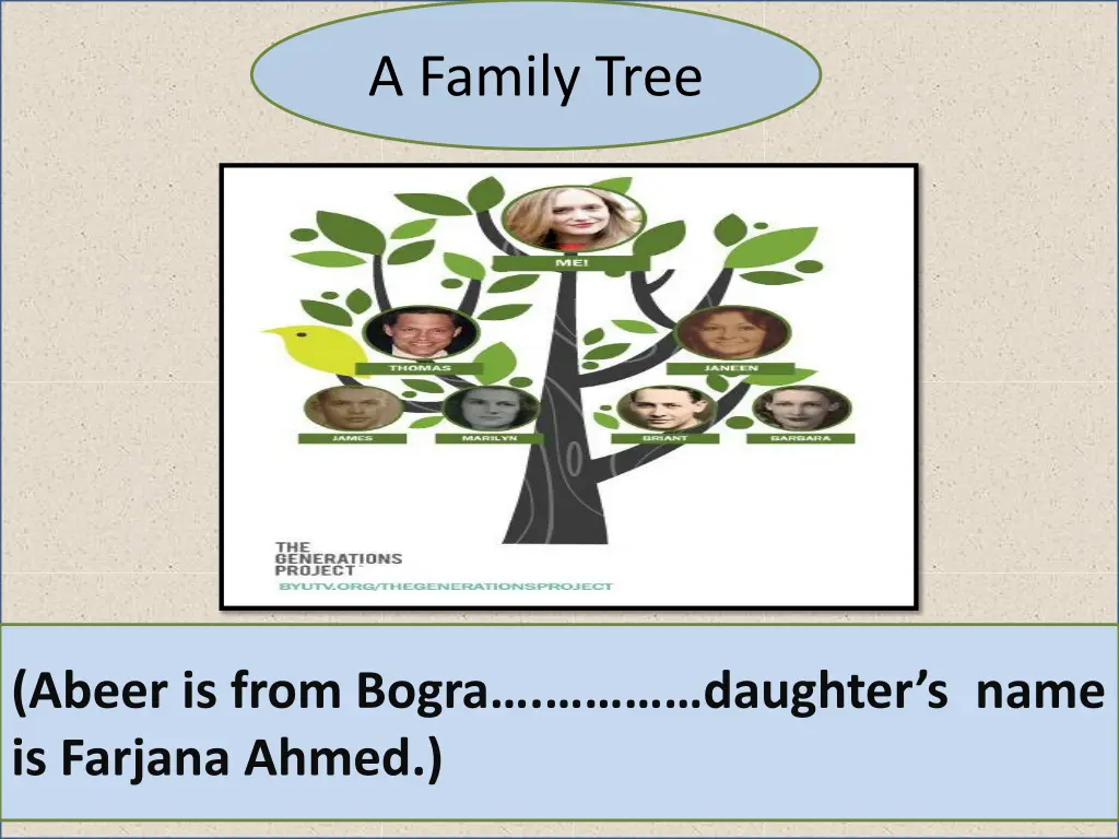 a family tree