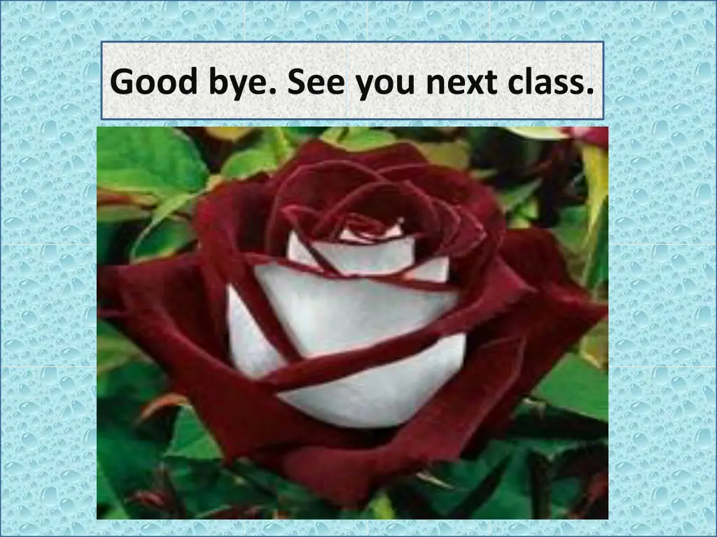 good bye see you next class