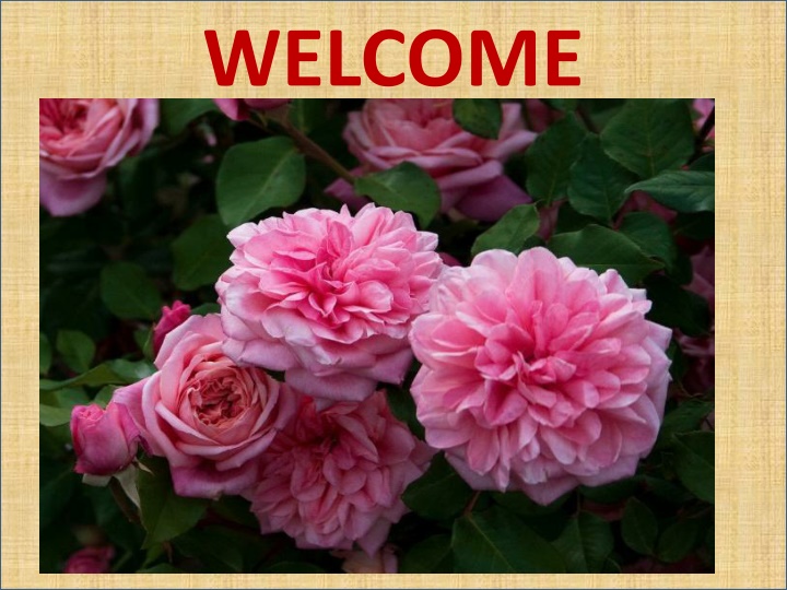 welcome