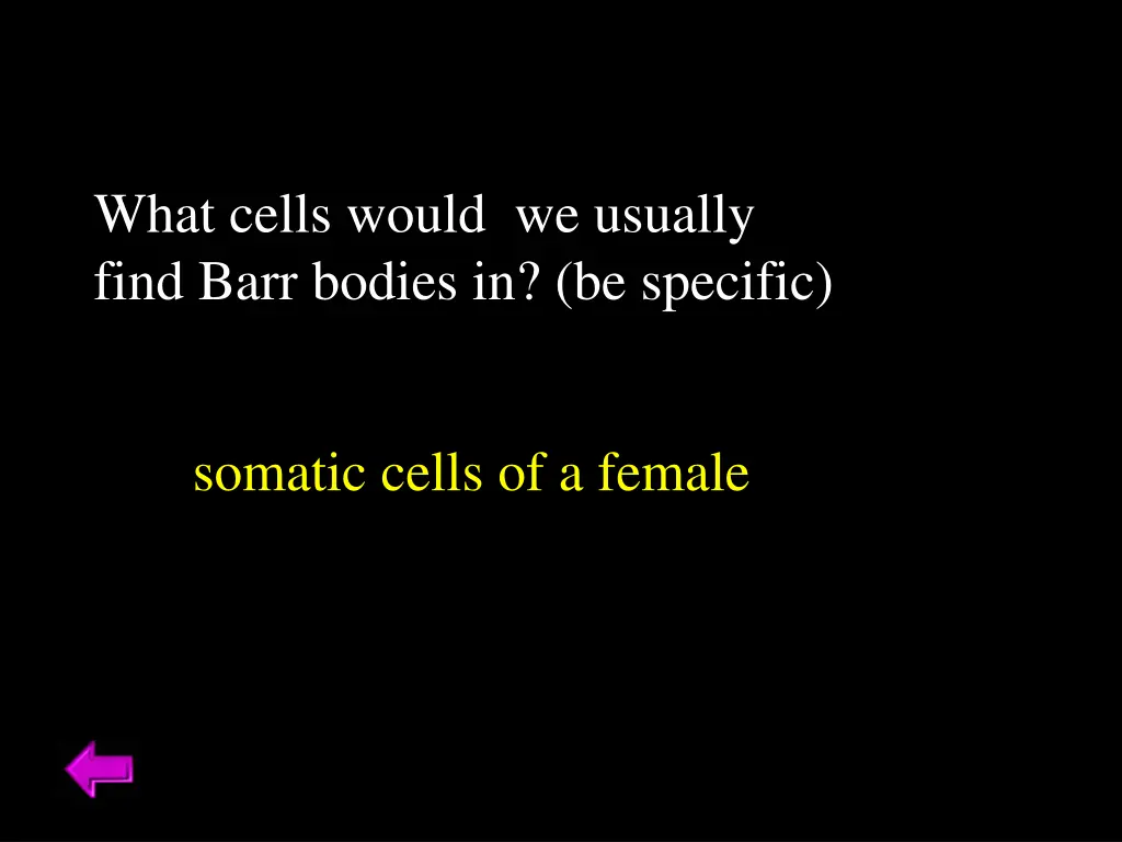 what cells would we usually find barr bodies