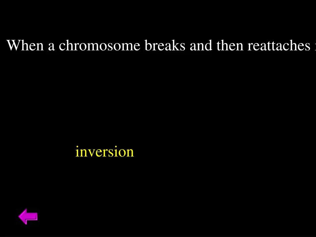 when a chromosome breaks and then reattaches