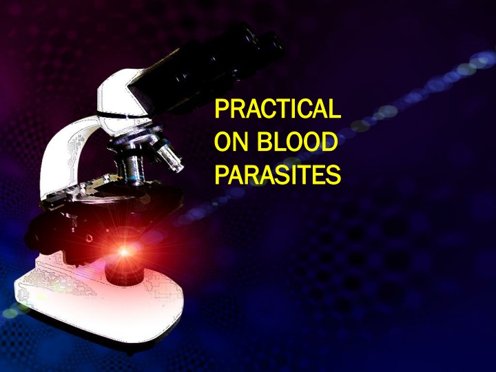 practical practical on blood on blood parasites