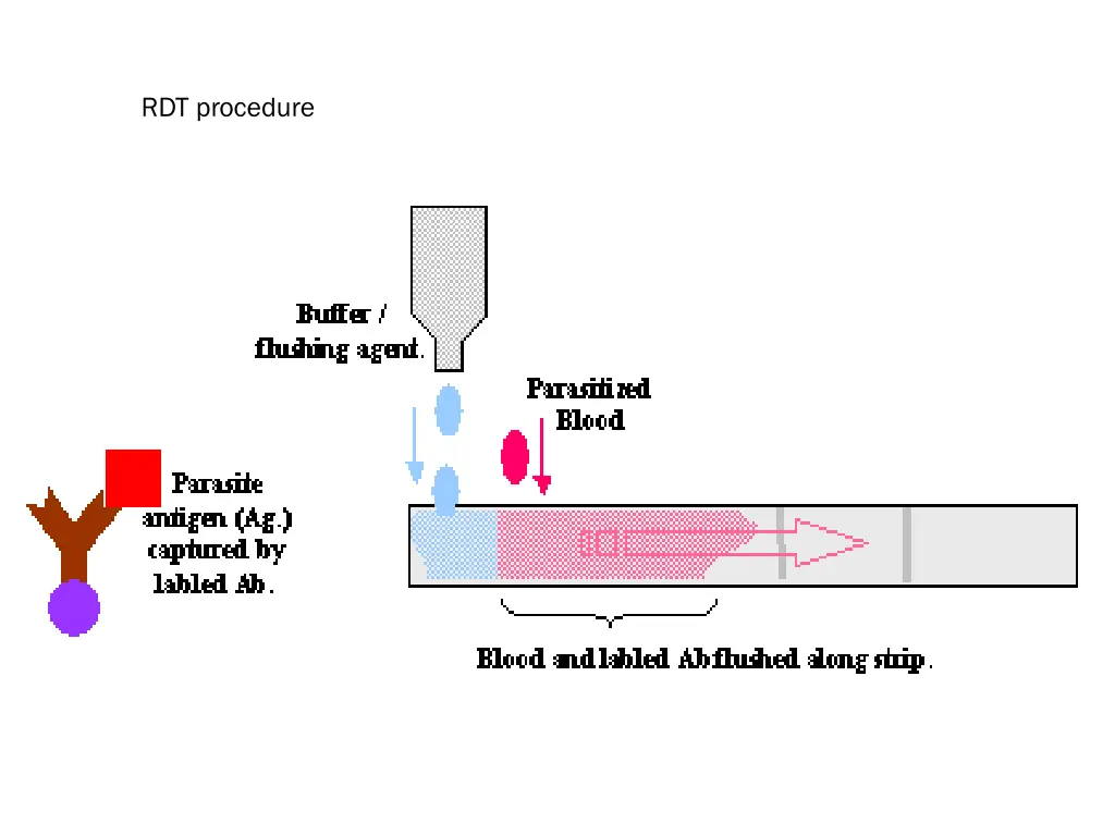 rdt procedure