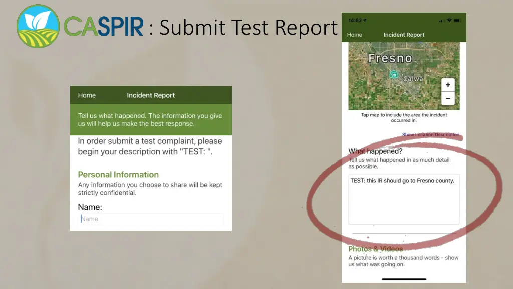 submit test report