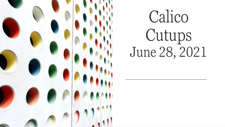 calico cutups june 28 2021