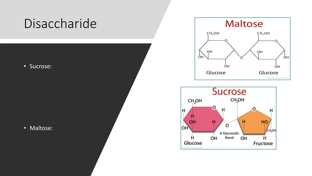 disaccharide