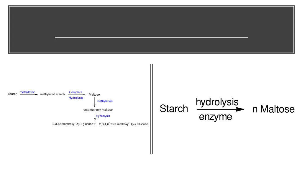 methylation 1