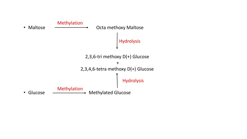 methylation 2