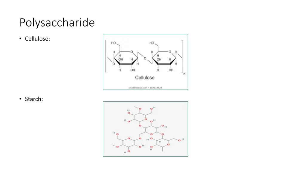 polysaccharide