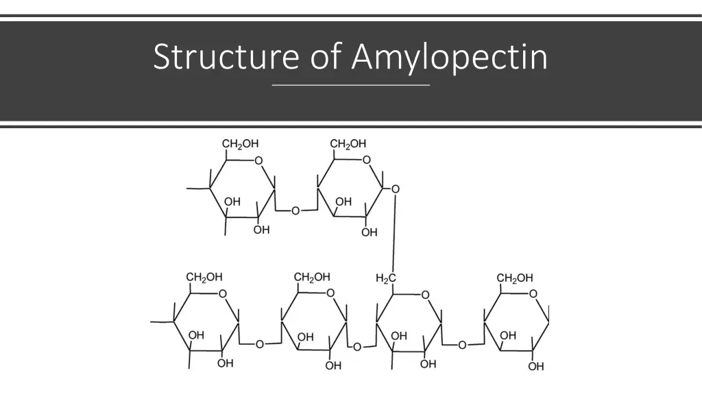 structure of amylopectin