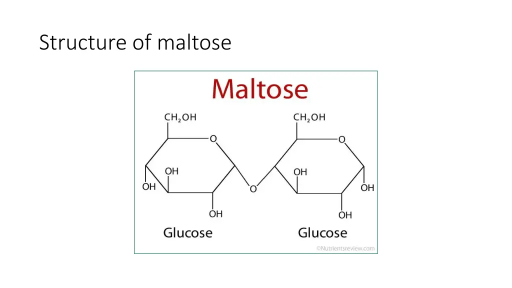 structure of maltose 1