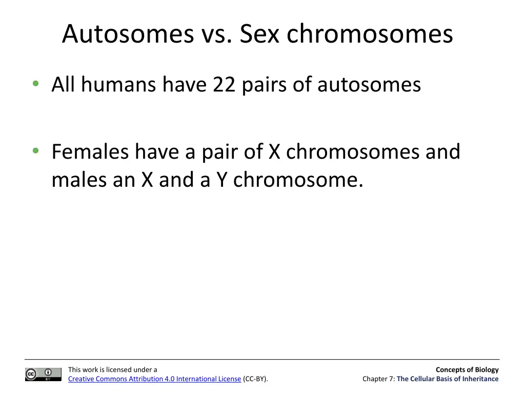 autosomes vs sex chromosomes